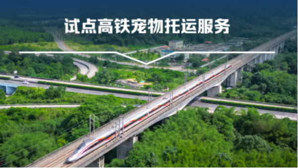 宠物托运