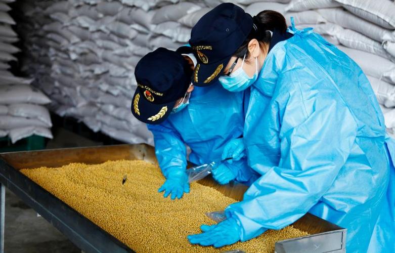海关查获粮食下脚料