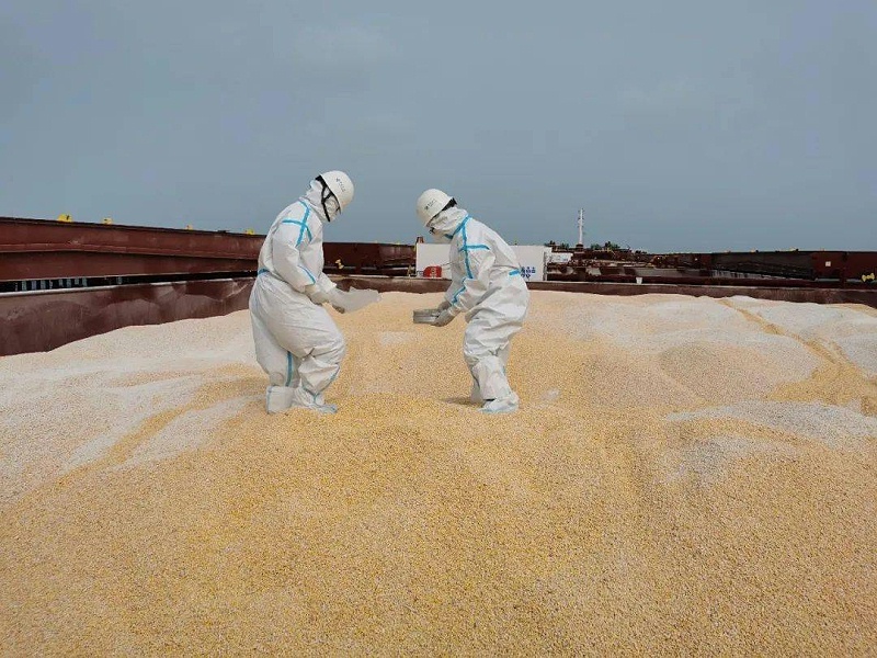 海关查获粮食下脚料