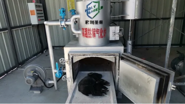 宠物猪