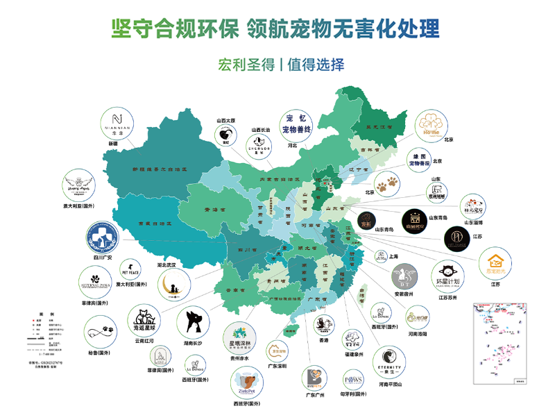 新宠物客户案例版图