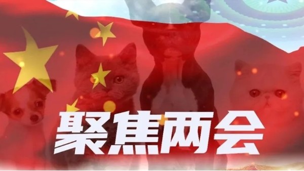 宏利圣得响应“两会”号召，提议《宠物后事处理技术规范团体标准》共筑宠物行业健康未来
