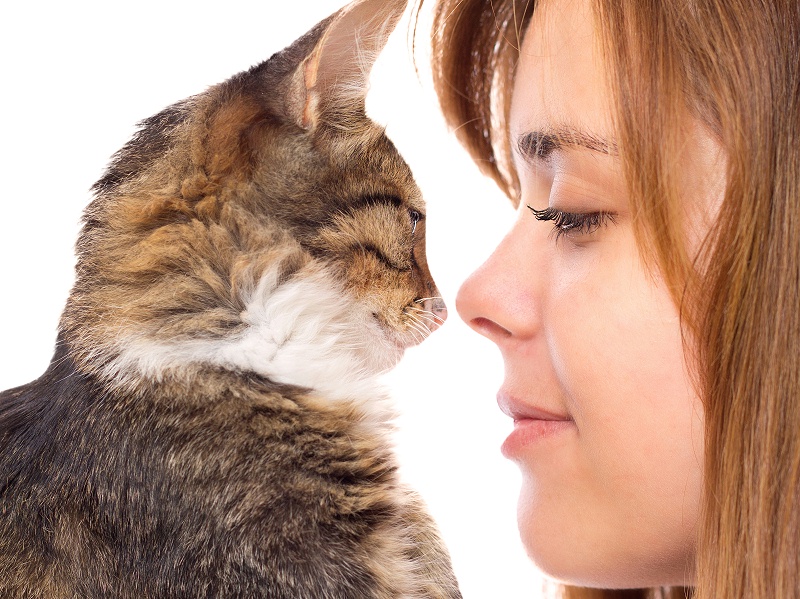 花瓣素材_漂亮的女孩和小猫鼻子对着鼻子_163949422