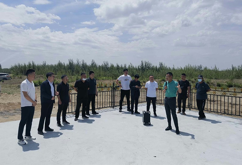 生活垃圾处理项目