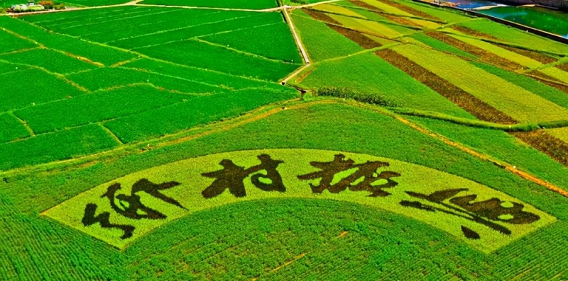 乡村振兴